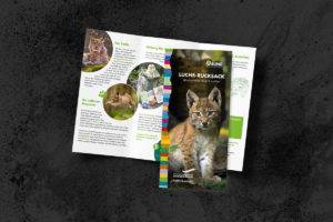 flyer layout vorlage beispiel inspiration werbeagentur gestalten lassen6